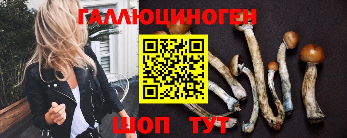 Набережные Челны  Псилоцибиновые грибы MAGIC MUSHROOMS  Вход с VPN 